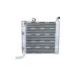 Radiateur, refroidissement du moteur NRF 550300 - Visuel 1