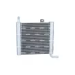 Radiateur, refroidissement du moteur NRF 550300 - Visuel 3