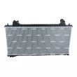 Radiateur, refroidissement du moteur NRF 550348 - Visuel 3