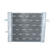 Radiateur, refroidissement du moteur NRF 550352 - Visuel 1