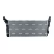 Radiateur, refroidissement du moteur NRF 550373 - Visuel 3