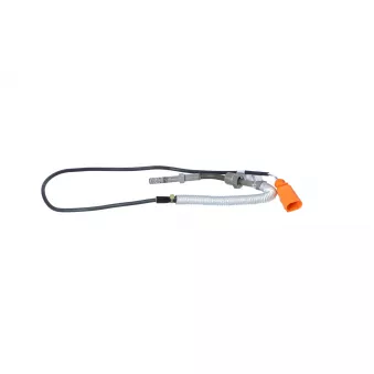 Capteur, température des gaz NRF