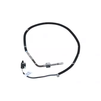 Capteur, température des gaz NRF