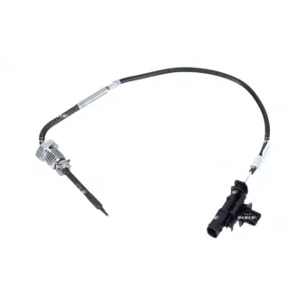 Capteur, température des gaz NRF