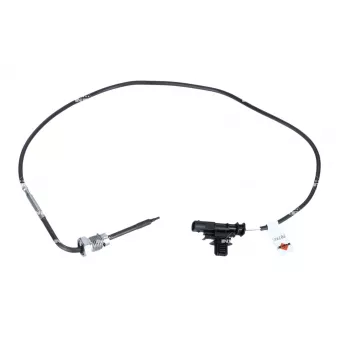 Capteur, température des gaz NRF