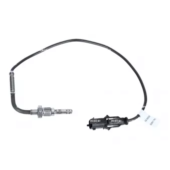 Capteur, température des gaz NRF