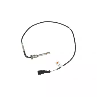 Capteur, température des gaz NRF