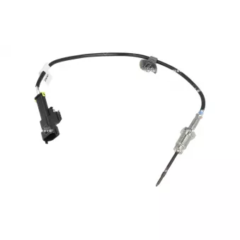 Capteur, température des gaz NRF