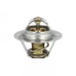 Thermostat, liquide de refroidissement NRF 725064 - Visuel 3