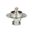 Thermostat, liquide de refroidissement NRF 725065 - Visuel 2