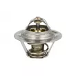 Thermostat, liquide de refroidissement NRF 725066 - Visuel 1