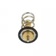 Thermostat, liquide de refroidissement NRF 725069 - Visuel 1