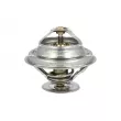 Thermostat, liquide de refroidissement NRF 725098 - Visuel 1
