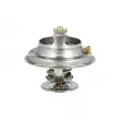 Thermostat, liquide de refroidissement NRF 725098 - Visuel 2