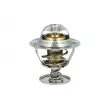 Thermostat, liquide de refroidissement NRF 725109 - Visuel 1