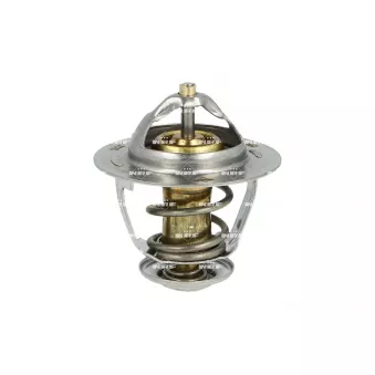 Thermostat, liquide de refroidissement NRF