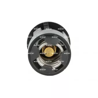 Thermostat, liquide de refroidissement NRF