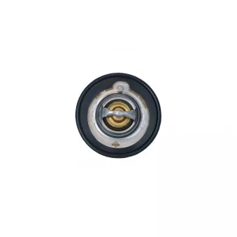 Thermostat, liquide de refroidissement NRF