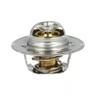 Thermostat, liquide de refroidissement NRF