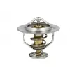 Thermostat, liquide de refroidissement NRF 725176 - Visuel 1