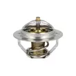 Thermostat, liquide de refroidissement NRF 725181 - Visuel 1
