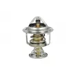 Thermostat, liquide de refroidissement NRF 725199 - Visuel 1