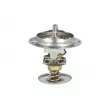 Thermostat, liquide de refroidissement NRF 725200 - Visuel 2