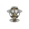 Thermostat, liquide de refroidissement NRF 725206 - Visuel 1