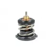 Thermostat, liquide de refroidissement NRF 725225 - Visuel 2