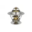 Thermostat, liquide de refroidissement NRF 725228 - Visuel 1