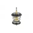 Thermostat, liquide de refroidissement NRF 725250 - Visuel 1