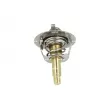 Thermostat, liquide de refroidissement NRF 725282 - Visuel 1
