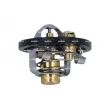 Thermostat, liquide de refroidissement NRF 725285 - Visuel 1