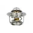 Thermostat, liquide de refroidissement NRF 725305 - Visuel 1