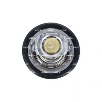 Thermostat d'eau NRF