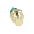 Sonde, température du liquide de refroidissement NRF 727156 - Visuel 3
