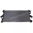 Radiateur, refroidissement du moteur GT-BERGMANN GT10-017 - Visuel 2