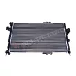 Radiateur, refroidissement du moteur GT-BERGMANN GT10-066 - Visuel 1