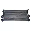 Radiateur, refroidissement du moteur GT-BERGMANN GT10-083 - Visuel 1