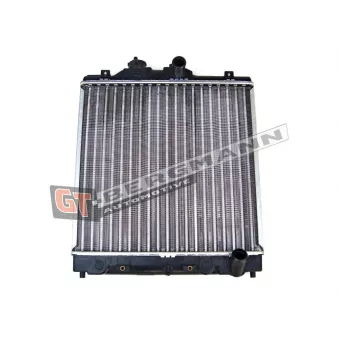 Radiateur, refroidissement du moteur GT-BERGMANN