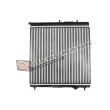 Radiateur, refroidissement du moteur GT-BERGMANN GT10-179 - Visuel 2