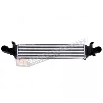 Intercooler, échangeur GT-BERGMANN GT12-010