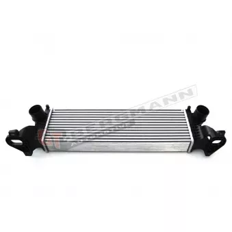 Intercooler, échangeur GT-BERGMANN GT12-017