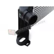 Intercooler, échangeur GT-BERGMANN GT12-017 - Visuel 2