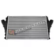 Intercooler, échangeur GT-BERGMANN GT12-024 - Visuel 1