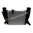 Intercooler, échangeur GT-BERGMANN GT12-028 - Visuel 1