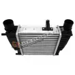 Intercooler, échangeur GT-BERGMANN GT12-028 - Visuel 3