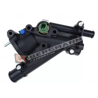 Bride de liquide de refroidissement GT-BERGMANN GT17-030