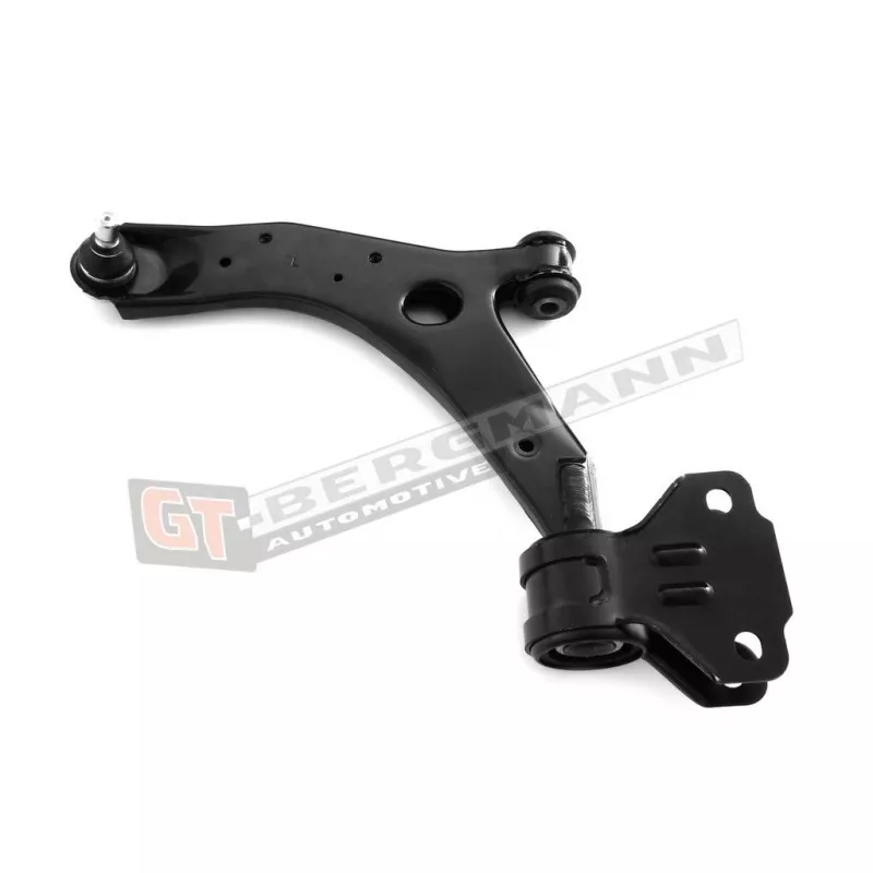 Biellette de barre stabilisatrice GT-BERGMANN GT20-135