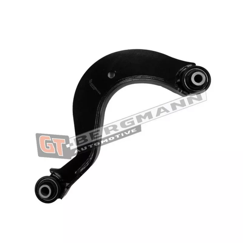 Biellette de barre stabilisatrice GT-BERGMANN GT20-232